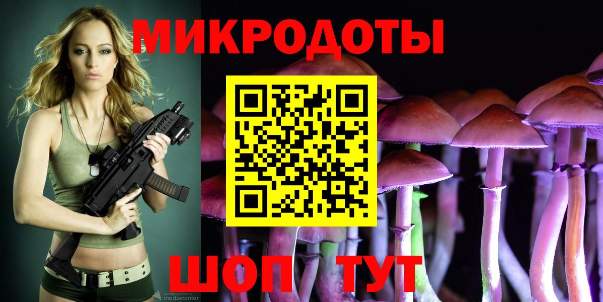Псилоцибиновые грибы Cubensis Буйнакск