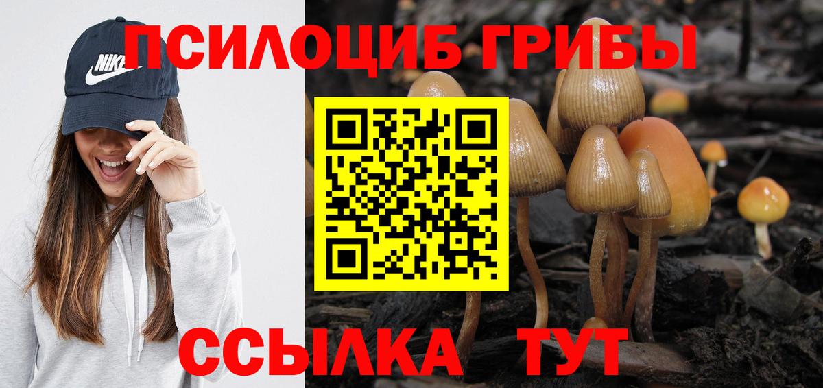 Галлюциногенные грибы Cubensis  закладки  Галлюциногенные грибы мухоморы  Буйнакск  Вход с VPN 